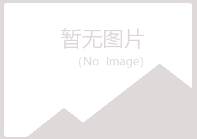 桃山区涵雁司机有限公司